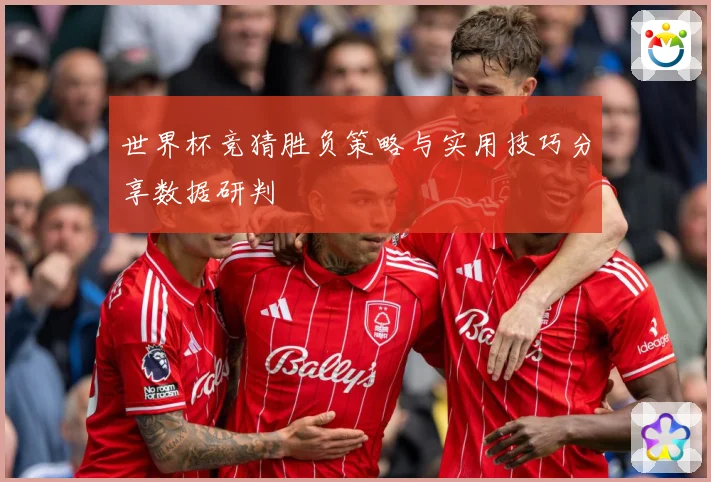 世界杯竞猜胜负策略与实用技巧分享数据研判