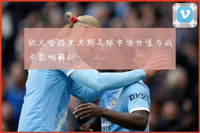欧文哈格里夫斯足球中场价值与战术影响解析