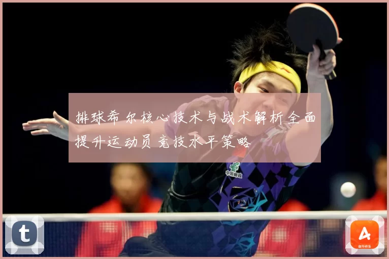 排球希尔核心技术与战术解析全面提升运动员竞技水平策略